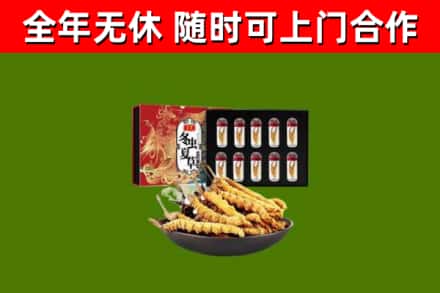 民勤烟酒回收冬虫夏草礼盒.jpg